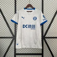 Camisa Alavés II 2024/25, foto 1