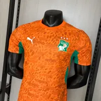 Camisa Costa Do Marfim I 2026/27 Versão Jogador, foto 4