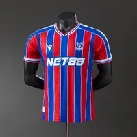 Camisa Crystal Palace I Cristal 2025/26 Versão Jogador, foto 1