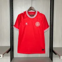 Camisa Dinamarca I 2024/25, foto 1
