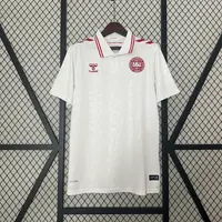 Camisa Dinamarca II 2024/25, foto 1