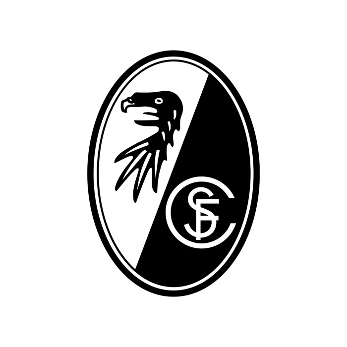 Camisa Freiburg Sem Modelo, foto 1