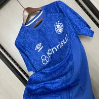 Camisa Grêmio Treino 2024/25 (2), foto 4