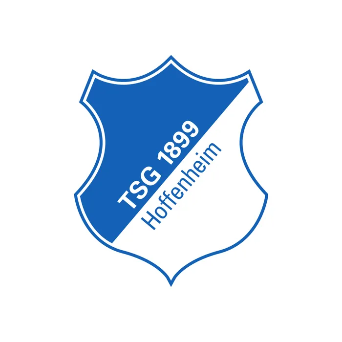 Camisa Hoffenheim Sem Modelo, foto 1