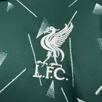 Camisa Liverpool Goleiro DE 2026/27, foto 2
