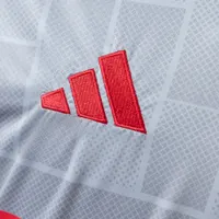 Camisa Lyon III 2025/26 Versão Jogador, foto 3
