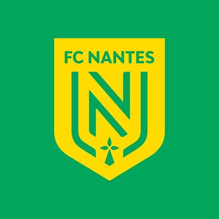 Camisa Nantes Sem Modelo, foto 1