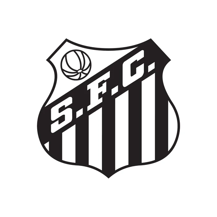 Camisa Outros Santos [bra], foto 1