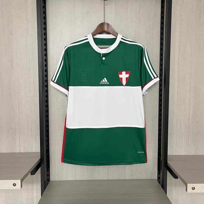 Camisa Palmeiras Centenario 2014 Retrô, foto 1