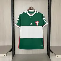 Camisa Palmeiras Centenario 2014 Retrô, foto 1