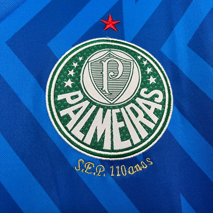 Camisa Palmeiras Goleiro 2024/25 (1), foto 2