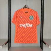 Camisa Palmeiras Goleiro 2024/25 (2), foto 1
