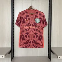 Camisa Palmeiras Goleiro II 2025/26, foto 1