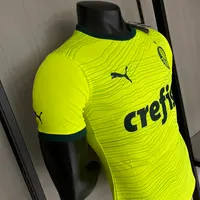 Camisa Palmeiras II 2023/24 Versão Jogador, foto 4