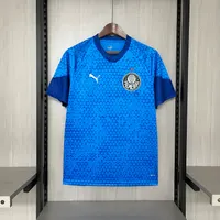 Camisa Palmeiras Treino 2024/25 (1), foto 1