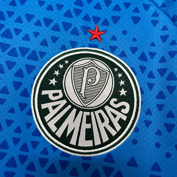 Camisa Palmeiras Treino 2024/25 (1), foto 2