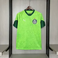 Camisa Palmeiras Treino 2024/25 (2), foto 1