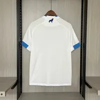 Camisa Paysandu II 2024/25, foto 5