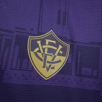 Camisa Vitória Goleiro II 2023/24, foto 2