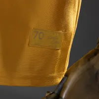 Camisa Wolverhampton DE Aniversario Sudu 2025/26, foto 4