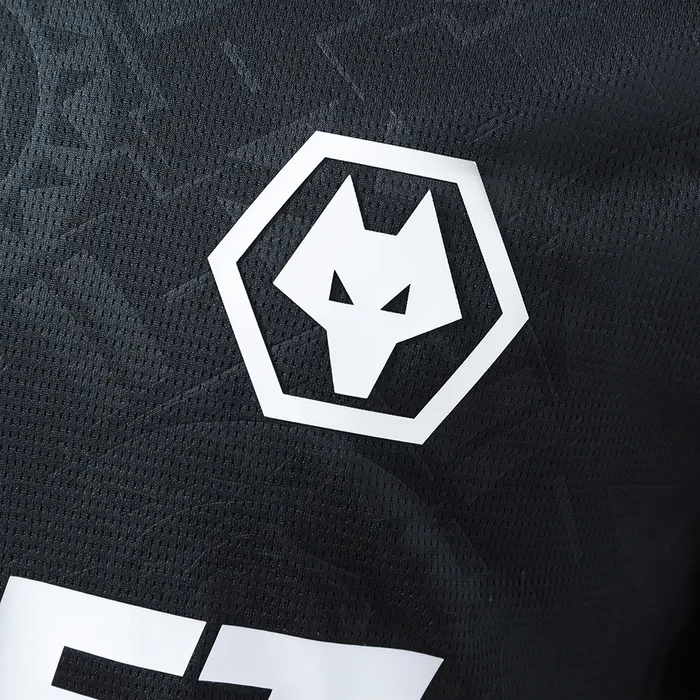 Camisa Wolverhampton Goleiro DE Sudu 2025/26, foto 2