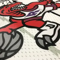 Regata Toronto Raptors Tracy Mcgrady 1998/99 Retrô (2), foto 2